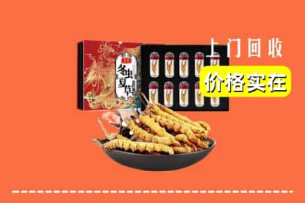 定西市漳县回收冬虫夏草